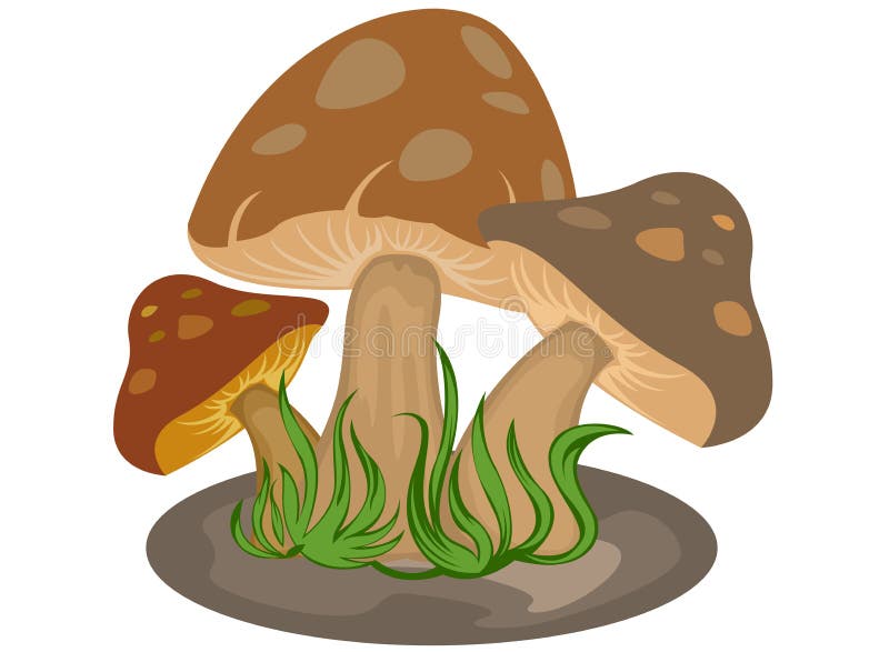 Mushrooms cartoon stock illustration. Illustration of food - 33354329