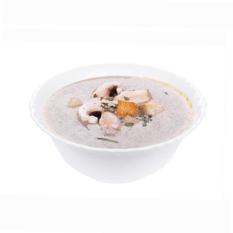 Mushrooms cream soup with agaric