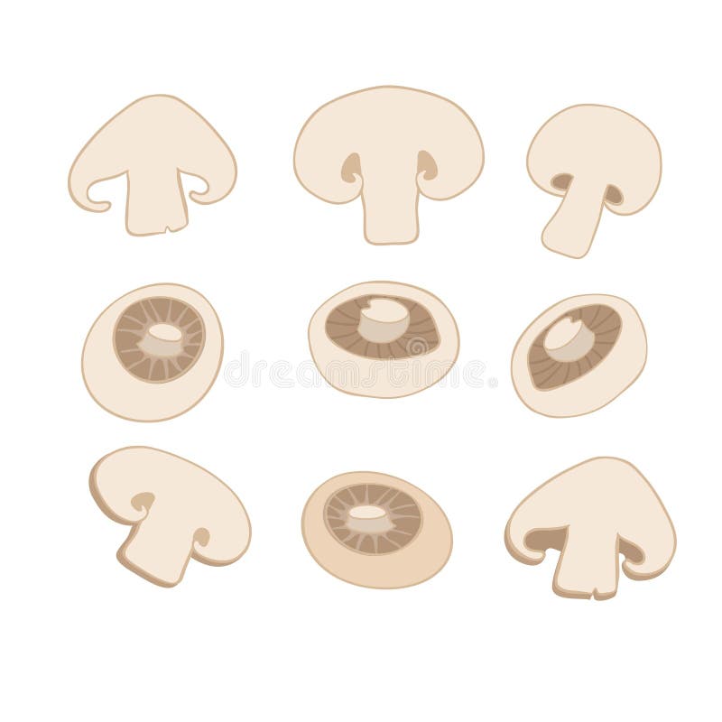Mushrooms cut into slices stock vector. Illustration of fungus 39475491