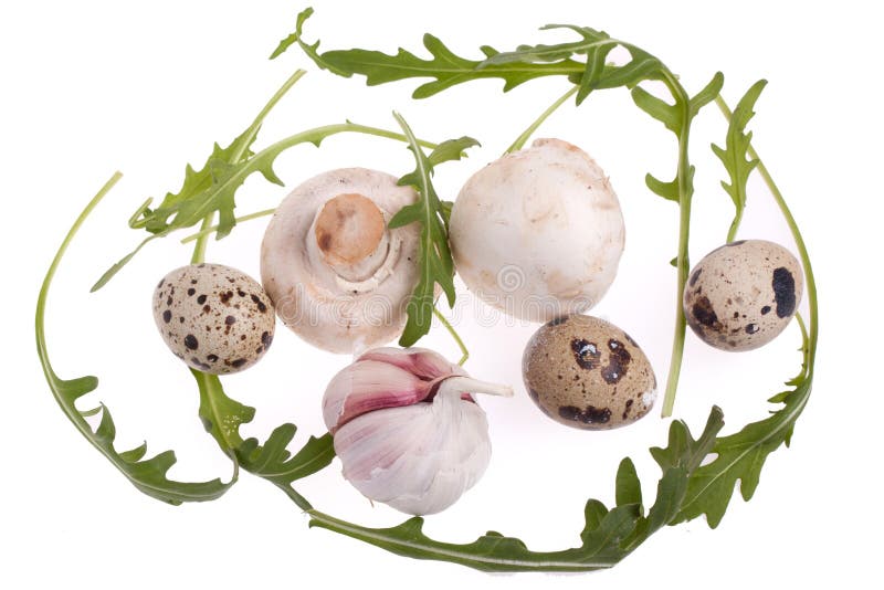 Mushrooms and Eggs Isolated Stock Image Image of ripe, freshness