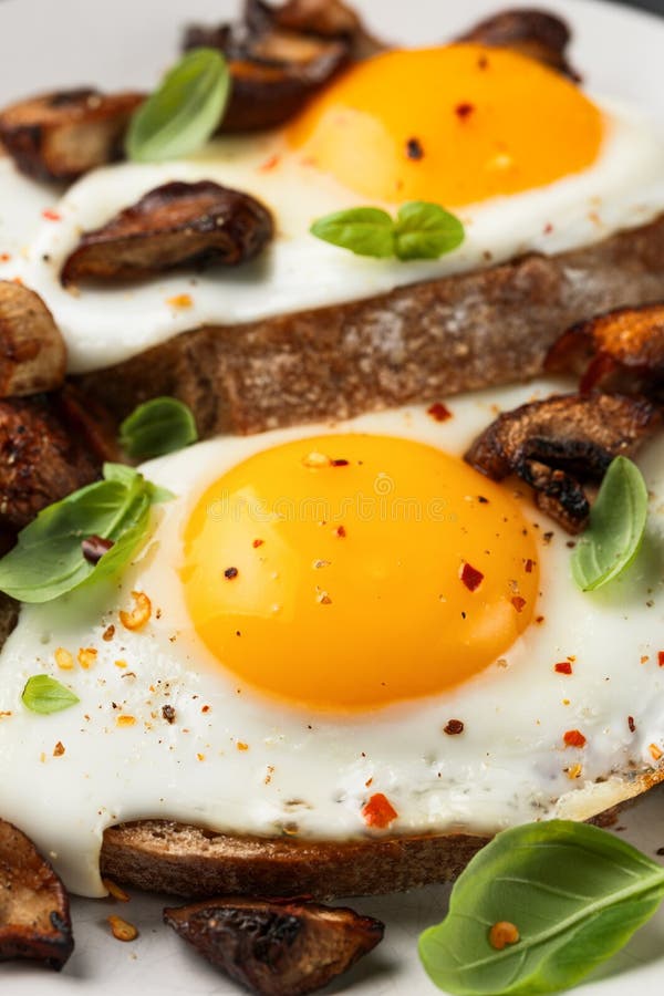 Mushrooms and Fried Eggs on Toast with Herbs Breakfast Stock Photo