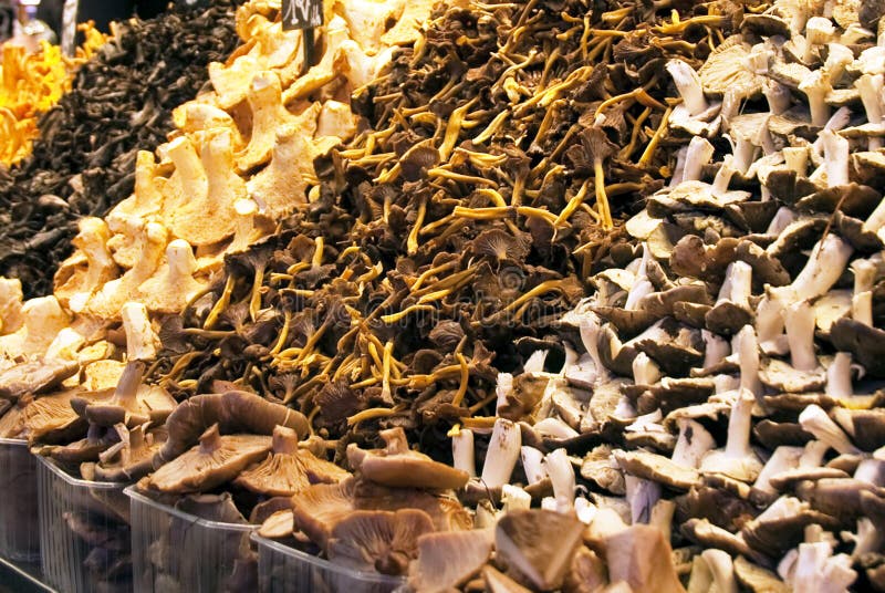 Mushrooms on market stall
