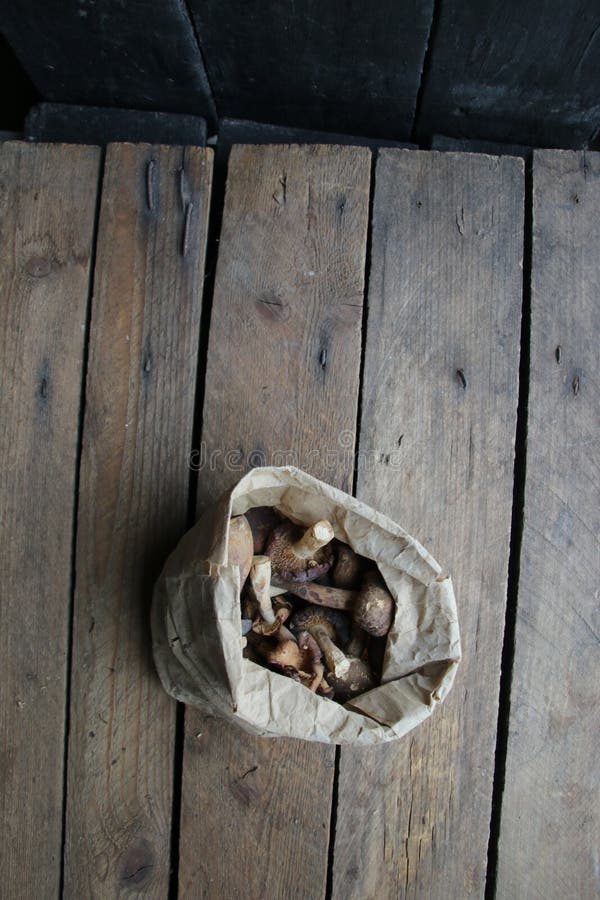 Mushrooms in a Paper Bag on a Vintage Table Stock Image Image of