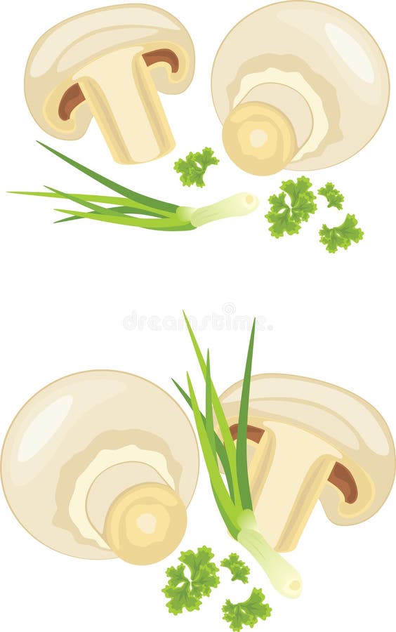 Download Mushrooms With Parsley And Chives Isolated On The Stock Vector - Illustration of objects, champignon: 39504934