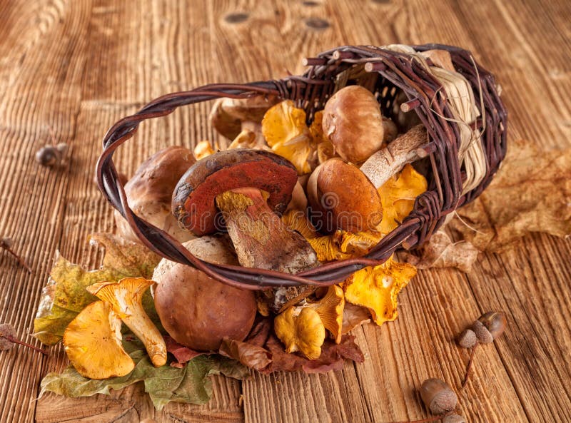 Mushrooms served on wooden planks