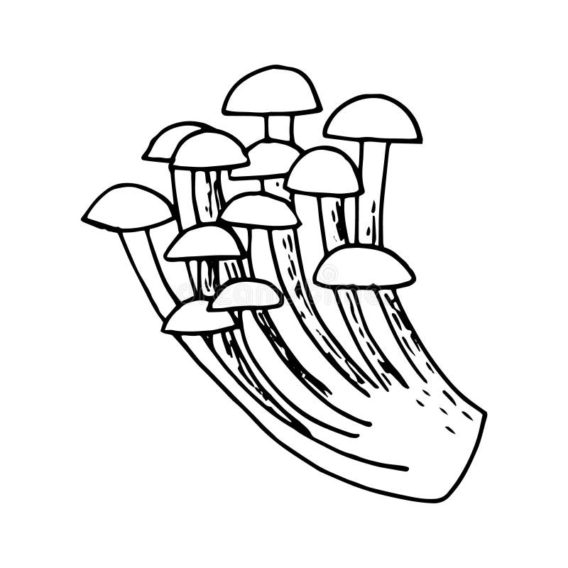 Mushrooms Sketch Doodles Hand Drawn Set. Different Types of Edible and ...