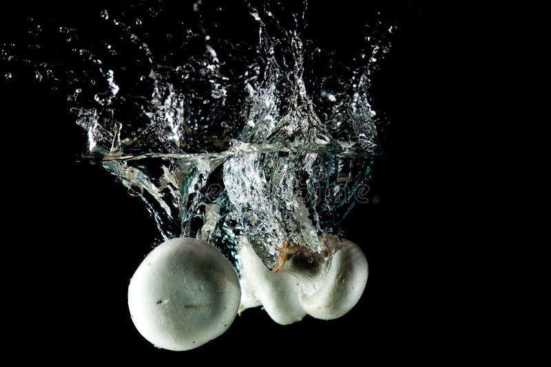 Mushrooms Water Splash stock image. Image of natural 19978545