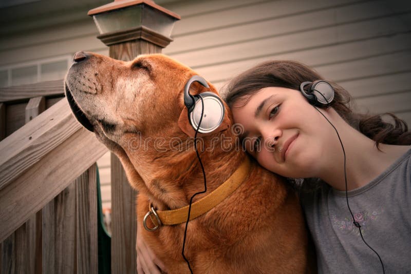 El perro a carinoso a ellos música.