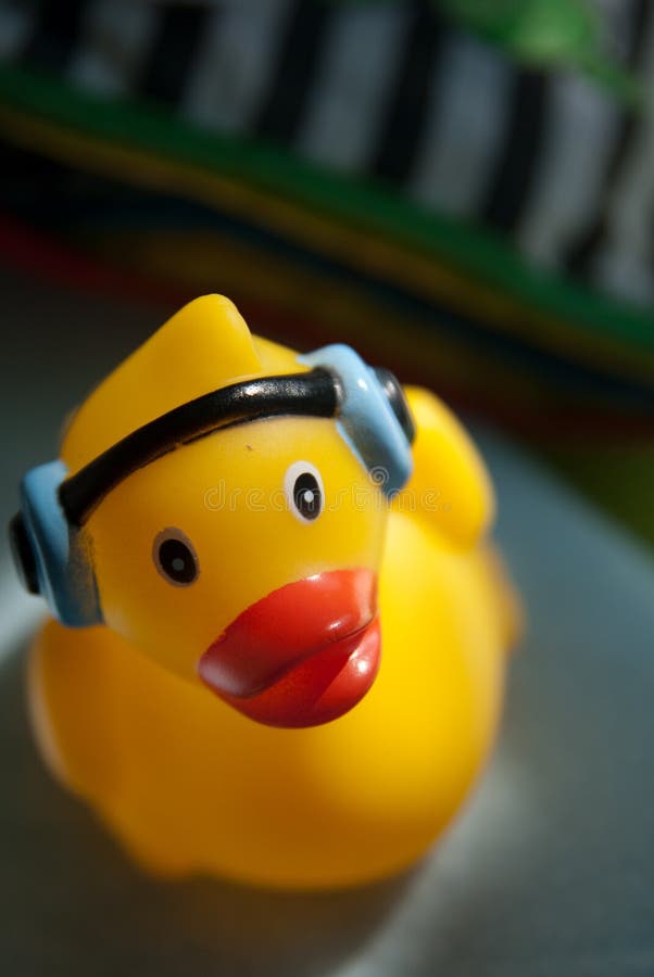 Music duck stock image. Image of duck, squeaky, play 10836903