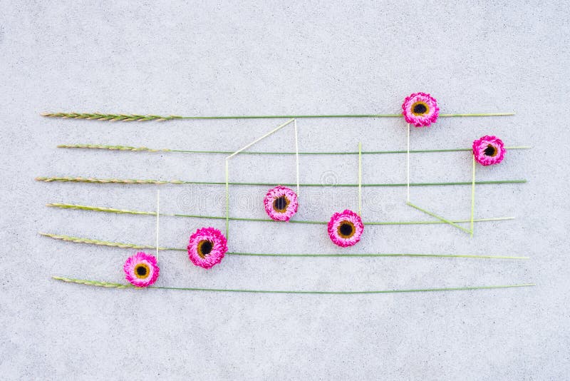 Music notes made of pink strawflowers and wild grass