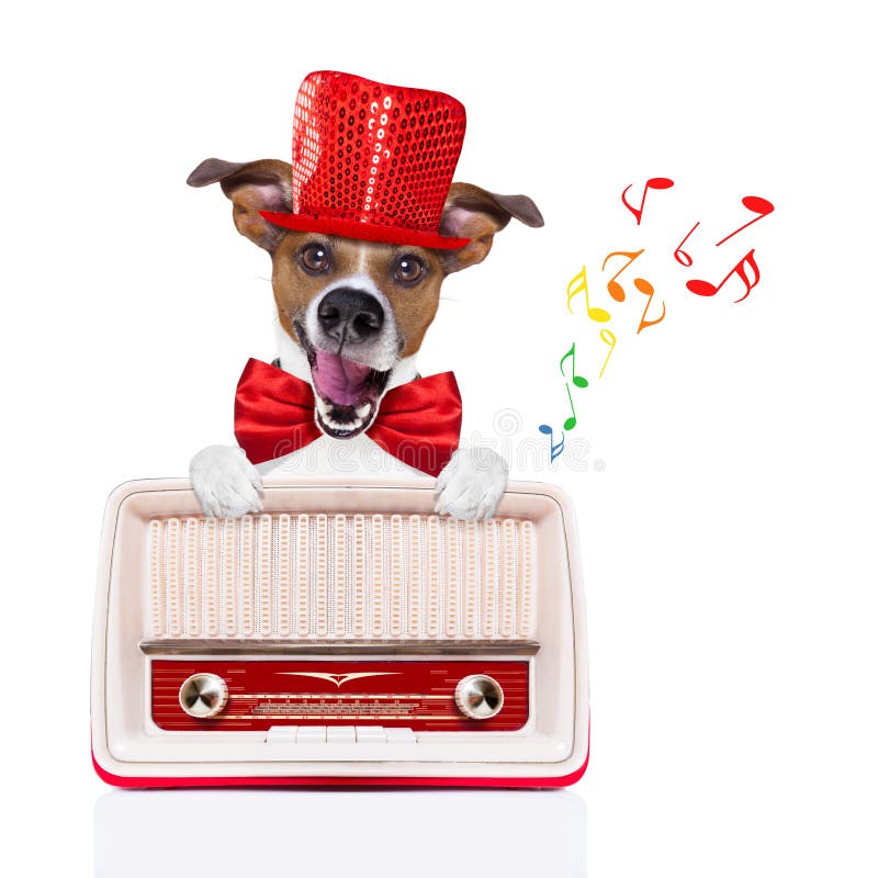 Jack russell dog , listening to music, behind a retro radio recorder, party hat and red tie, isolated on white background. Jack russell dog , listening to music, behind a retro radio recorder, party hat and red tie, isolated on white background