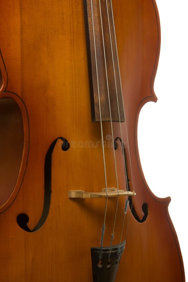 Musical instrument cello