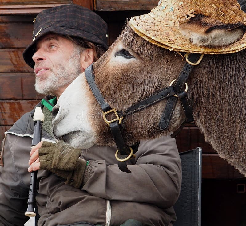 Musician with Donkey in Dingle Ireland Editorial Photography Image of