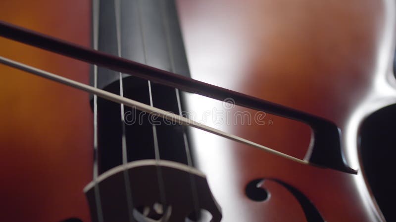 Musician leads bow along strings of cello playing classical music, closeup, front view. Musician performs playing stock video footage