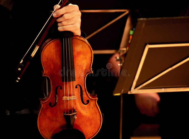 Closeup musicians are playing violins in classical music concerts. Closeup musicians are playing violins in classical music concerts