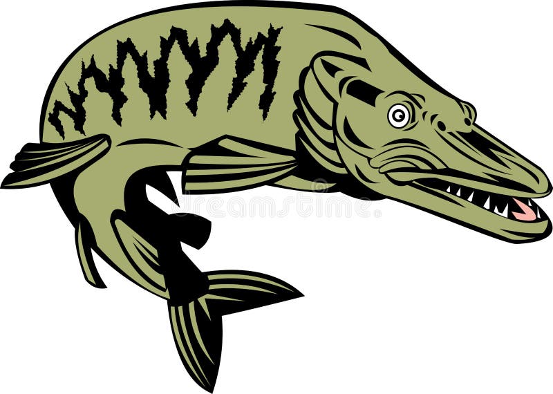 Muskie Fish Stock Illustrations – 129 Muskie Fish Stock Illustrations,  Vectors & Clipart - Dreamstime