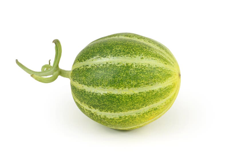 Muskmelon