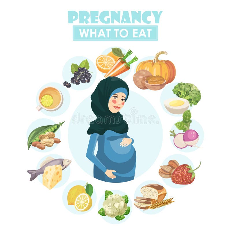 Muslim pregnant woman. Vector colorful illustration with pregnancy concept. Healthy food stock illustration Muslim pregnant woman. Vector colorful illustration with pregnancy concept. Healthy food stock illustration