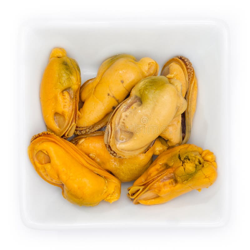 Mussel Flesh In A White Bowl Stock Photo Image of ceramic, diet