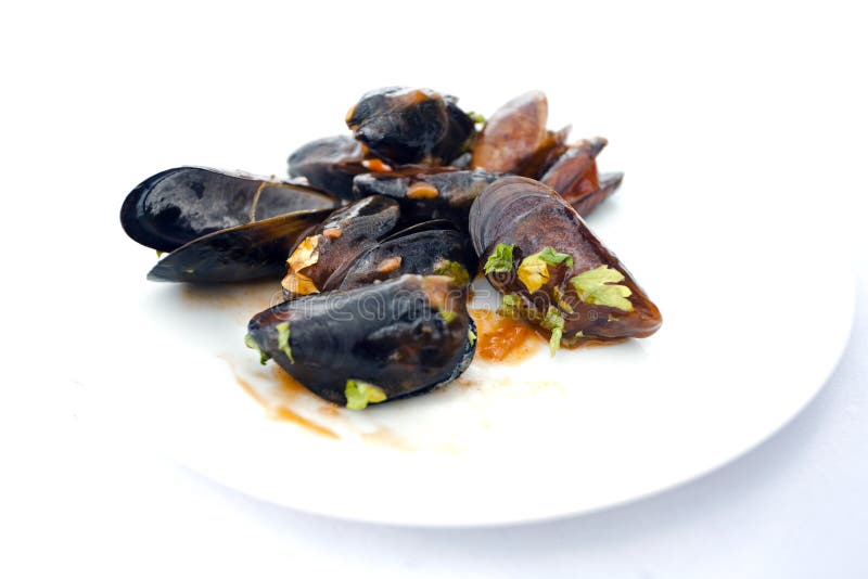 Mussel ready to eat stock photo. Image of dinner, mussel 15586132