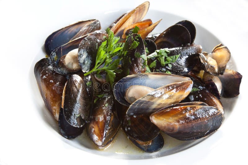 Mussels