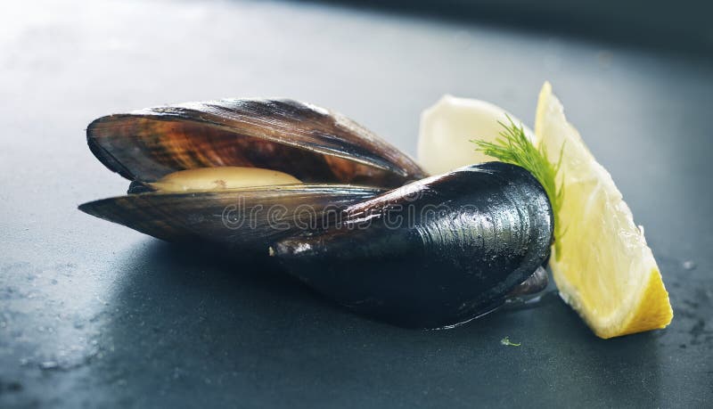 Mussels zdjęcia royalty free Mussels zdjęcia royalty free