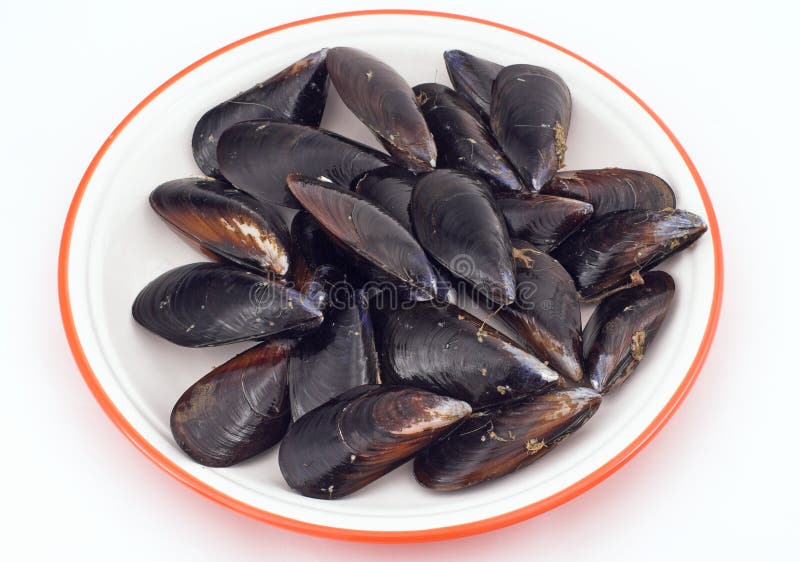 Mussels stock image. Image of mollusk, food, shell, nutrition 661283