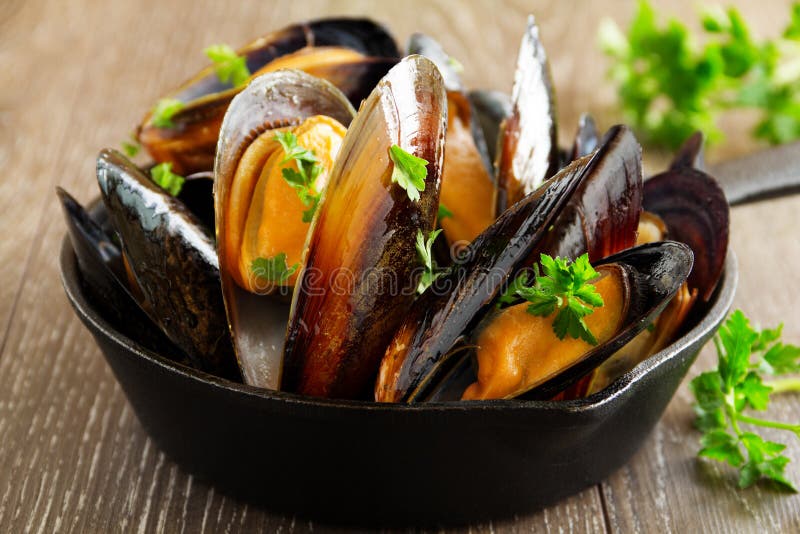 Mussels cooked in wine royalty free stock images Mussels cooked in wine royalty free stock images