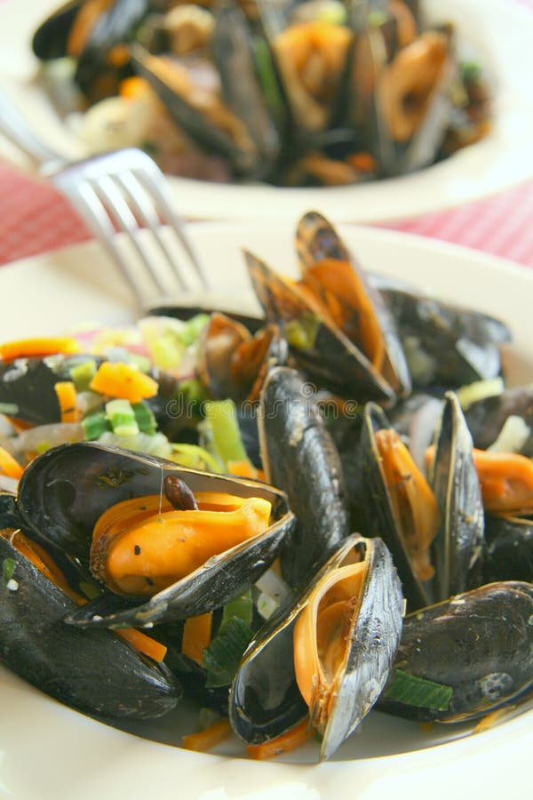 Mussels dish stock photo. Image of clams, cookery, cuisine 6342986