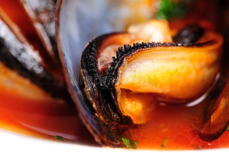 Mussels in Italian Rustic Style Stock Image Image of dinner, shell
