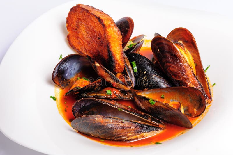 Mussels in Italian Rustic Style Stock Image Image of seafood, food