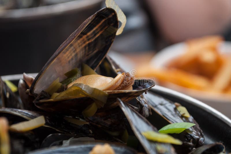 Mussels Marinara in a Restaurant Stock Image Image of shells