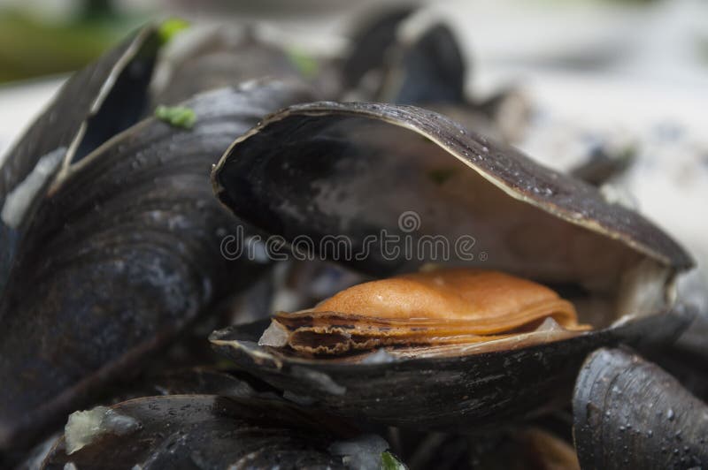 Mussels Marinara in a Restaurant Stock Image Image of parsley, meal