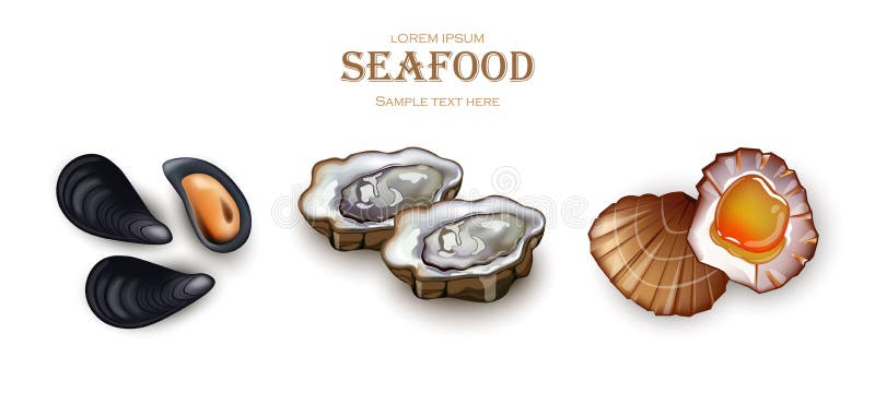 Mussels, ostrygi i przegrzebka owoce morza wektor, Realistycznej szczegółowej 3d ilustraci ustalone kolekcje royalty ilustracja Mussels, ostrygi i przegrzebka owoce morza wektor, Realistycznej szczegółowej 3d ilustraci ustalone kolekcje royalty ilustracja