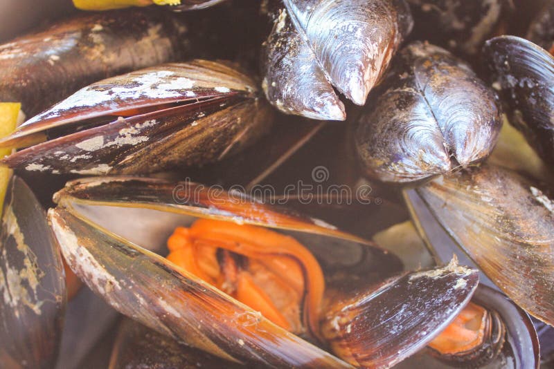 Mussels szczegółu Karmowy smakosz Moules zdjęcia stock