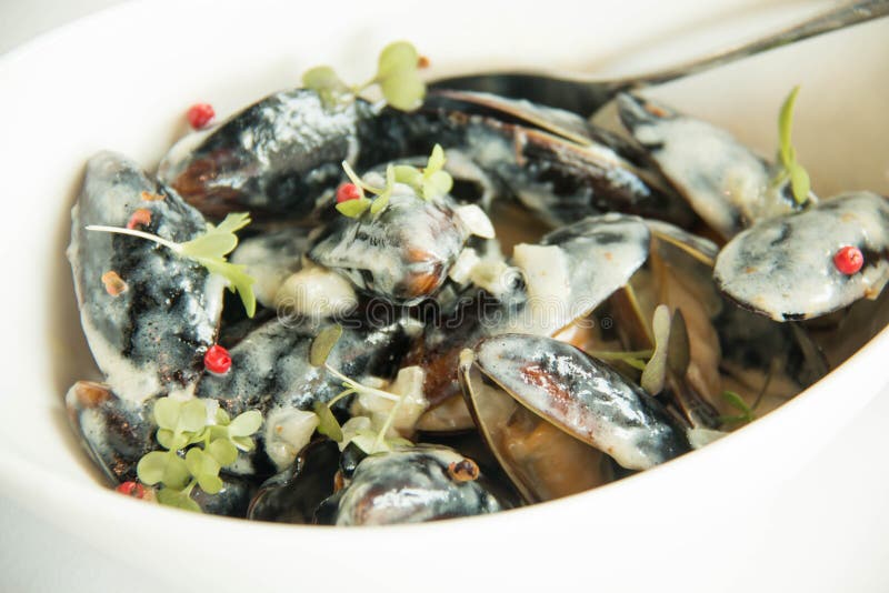 Mussels in White Wine Sauce Stock Image Image of gourmet, bowl 91084037