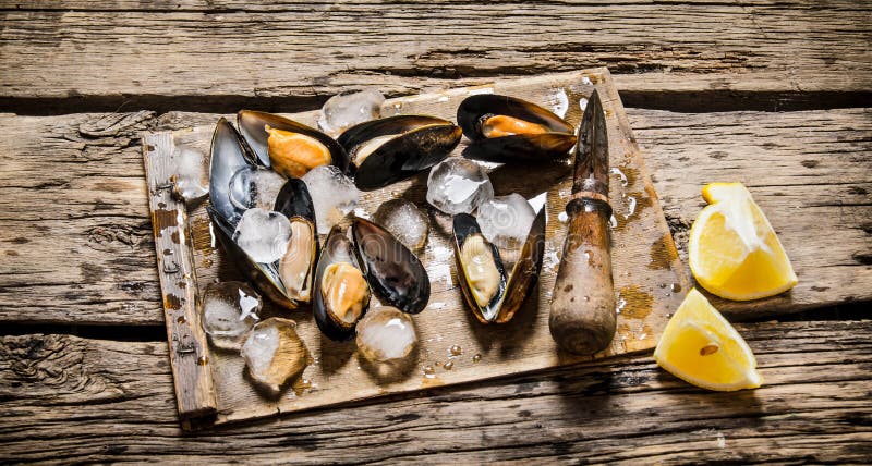 Musslor med citronen och is royaltyfria foton Musslor med citronen och is royaltyfria foton