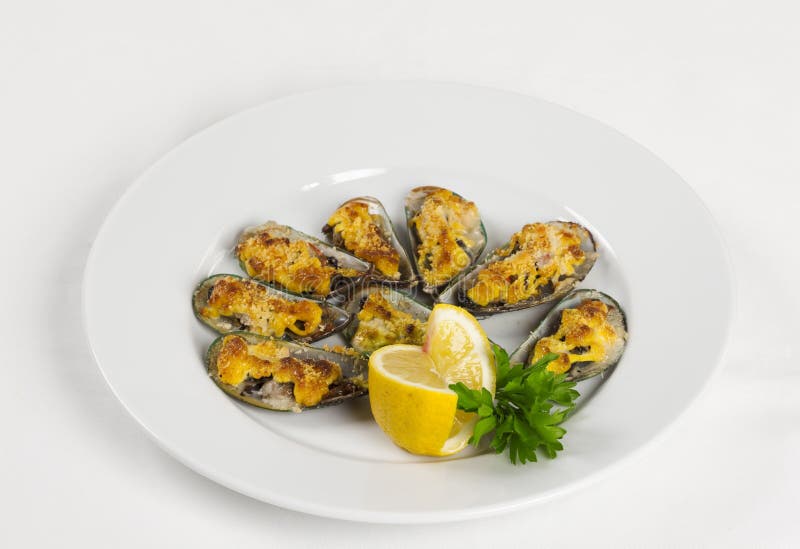 Musslor under ost royaltyfri fotografi