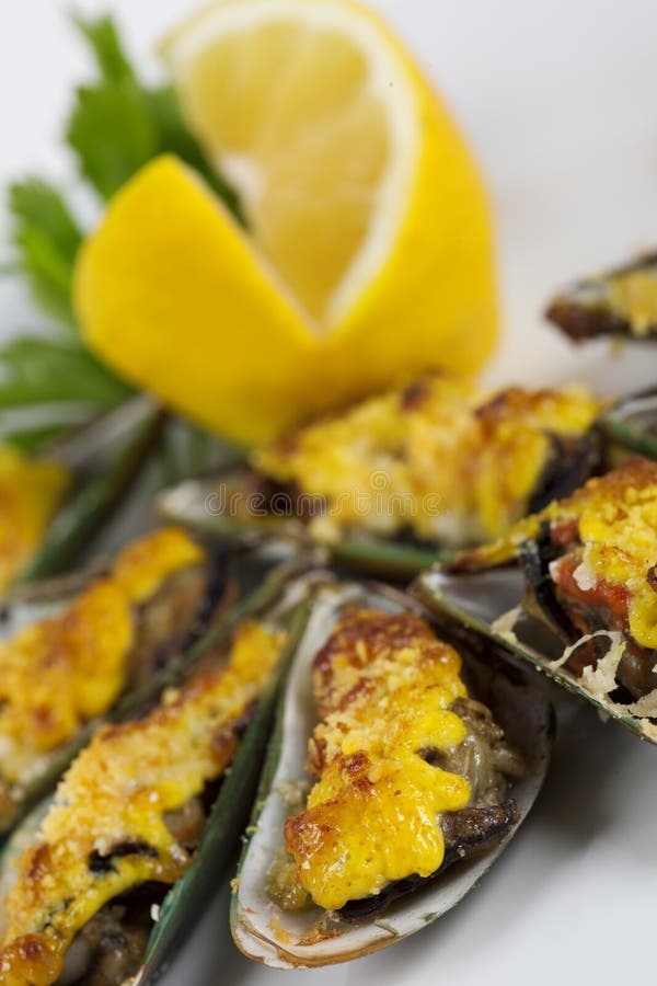 Musslor under ost royaltyfri fotografi