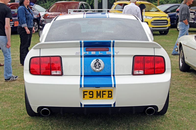Mustang för Ford shelby kobra gt500 royaltyfria foton Mustang för Ford shelby kobra gt500 royaltyfria foton