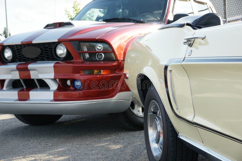 Mustang Generations Royalty Free Stock Image Image 5762166 mustang-generations-royalty-free-stock-image-image-5762166