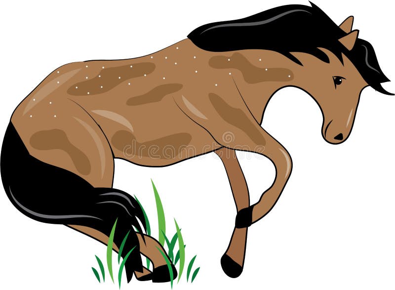 Mustang Horse stock vector. Illustration of arabian, mustang - 53252596