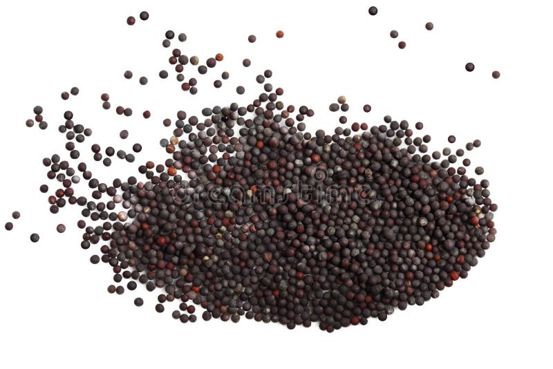 Edible mustard flowers stock photo. Image of crop, eating 36202002