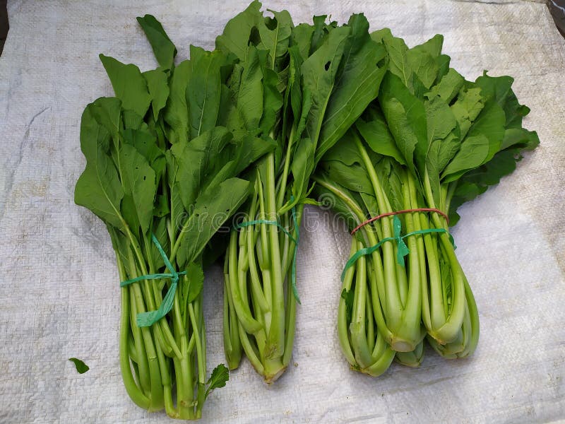 Mustard Greens Sold at the Barabai Traditional Market, South Kalimantan ...