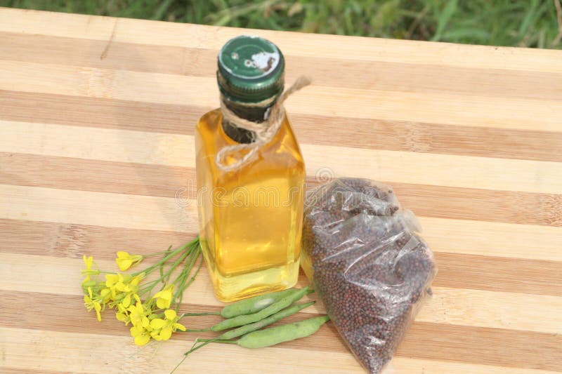 Mustard Oil in Bottle with Flower and Bud and Seed Stock Photo - Image ...