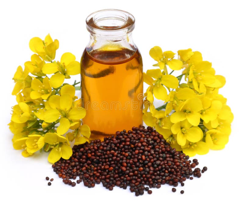 14,756 Mustard Oil Stock Photos - Free & Royalty-Free Stock Photos from  Dreamstime
