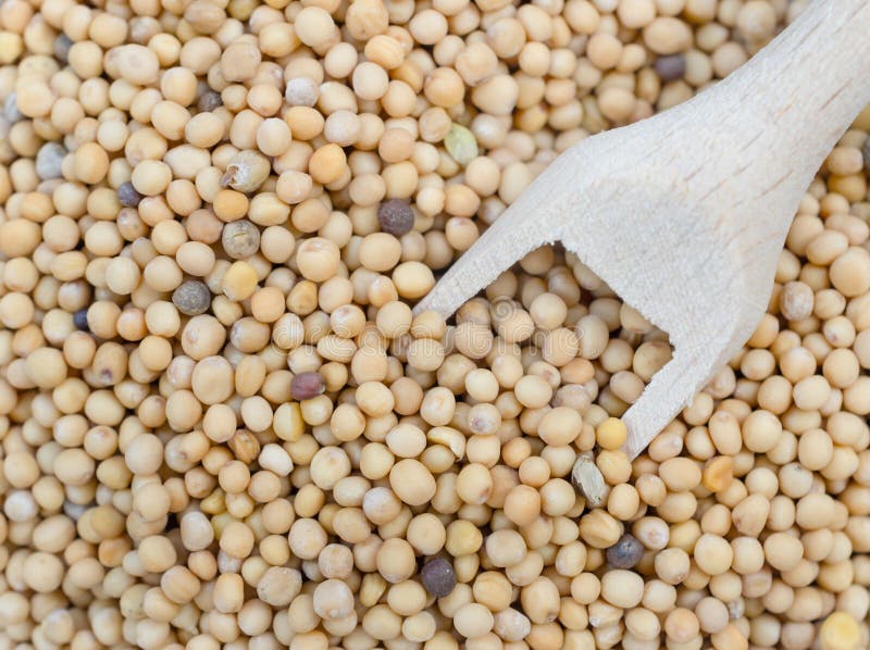 Mustard seed stock photo. Image of ball, ingredient, plant 27847640