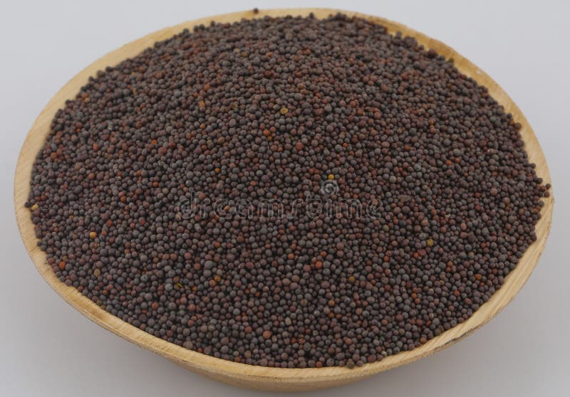 Mustard Seed stock photo. Image of ingredient, mustard 91252392