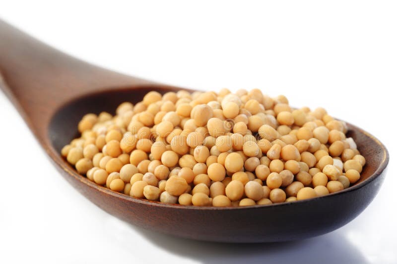 Mustard Seed in Wooden Spoon Stock Image Image of organic, delicious