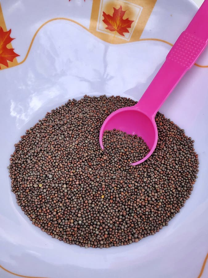 Mustard Seeds in a Bowl with Spoon Stock Image Image of herbal, grain
